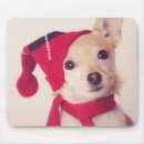 Suche nach schoßhund mousepads Schosshund