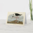 Recherche de écharpe vœux cartes Illustration