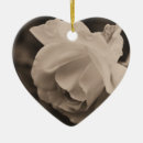 Suche nach rosenknospe ornamente Blume