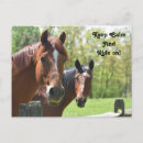 Recherche de équitation cartes postales Cheval