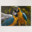 Recherche de oiseaux tropicaux puzzles Coloré