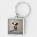 Recherche de jack russell porteclés Vertical