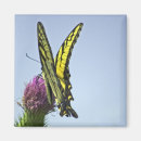Recherche de gracieux magnets Nature