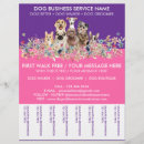 Recherche de chaise prospectus Animal