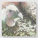 Suche nach geier untersetzer Raubvogel