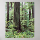 Recherche de british columbia posters Danita delimont