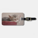 Recherche de fatigué bagages étiquettes Chat
