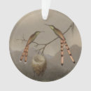 Suche nach kolibris ornamente Dschungel