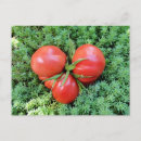 Suche nach sommer der liebe postkarten Herz
