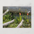 Suche nach indische postkarten Indianerpinsel