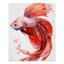 Suche nach betta poster Bettfisch