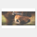 Suche nach nasen aufkleber Foto