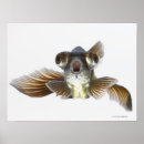 Suche nach sealife poster Animal