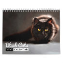 Suche nach die schwarze katze kalender Fotografie