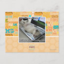 Recherche de impossible cartes postales Je peux avoir cheezburger