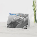 Recherche de chat bleu russe vœux cartes Chaton