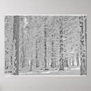 Suche nach winterwald poster Schnee