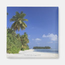 Suche nach tropische ferien magnete Meer