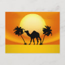 Recherche de camel cartes postales Paysage