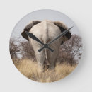 Recherche de galler horloges Galerie de jaynes