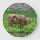 Suche nach highlands wanduhren Highland cow