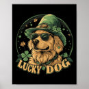 Recherche de trèfle irlandais posters Lutin