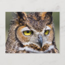 Suche nach tarnung postkarten Jäger