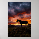 Recherche de silhouette de cheval posters Pour tous