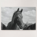 Recherche de horse puzzles Animal
