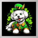 Suche nach st pattys tag poster Klee