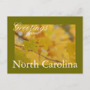 Recherche de feuille simple cartes postales Chute