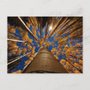 Recherche de flagstaff cartes postales Arbres