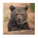 Recherche de image de couleur carreaux Roche