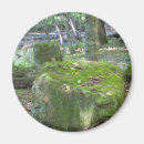 Suche nach bank magnete Natur