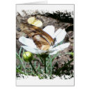 Suche nach butterly Tiere