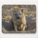 Recherche de sud africain tapis souris L'afrique