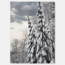 Suche nach schneebedeckte bäume magnete Wald