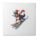 Suche nach collie fliesen Welpe