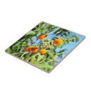 Recherche de buddleia Nature