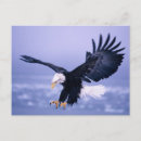 Suche nach ausgebreitet poster Usa