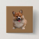 Recherche de gallois badges Chien