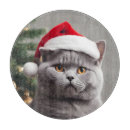 Recherche de humour chat de ustensiles cuisine Noël