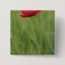 Suche nach rote mohnblume buttons Feld