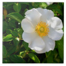 Recherche de cherokee carreaux Fleur