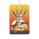 Recherche de zoo voiture accessoires Faune