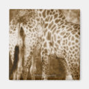 Recherche de parc national de kruger magnets Faune