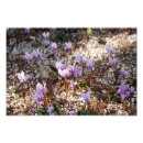 Suche nach abgeschieden poster Natur