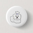 Recherche de chien papillon badges Chiot