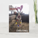 Suche nach lustige nachbarn karten Weihnachten