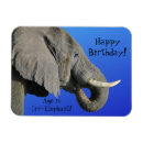 Suche nach lustiger elefant karten Wortspiel